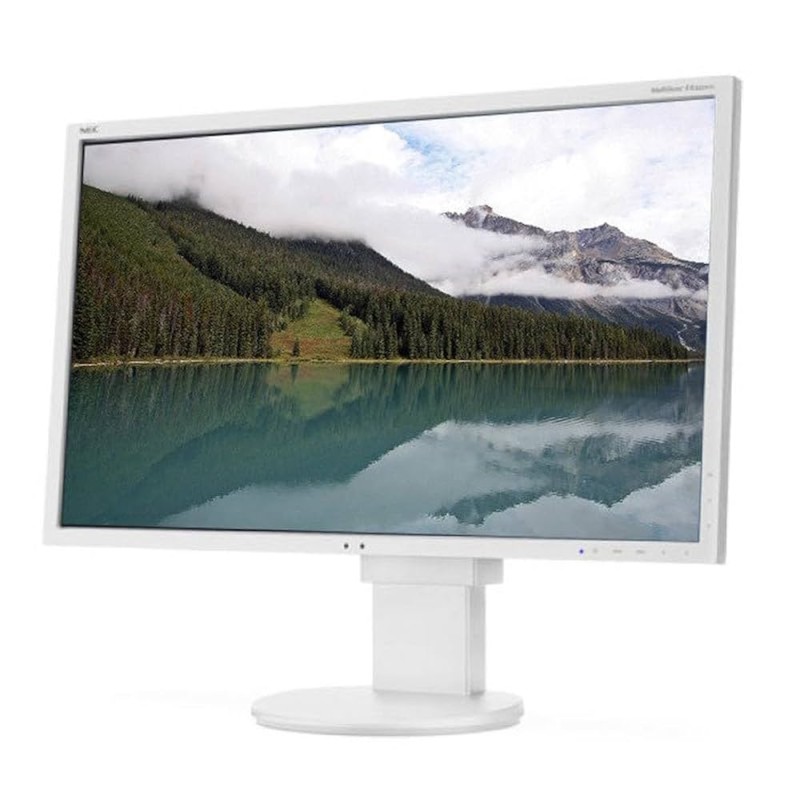 NEC EA223WM.jpg